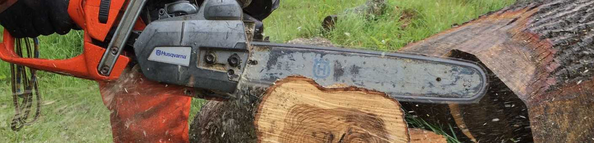 Chainsaw Training with NPTC Assessment – Commercial Arborists Ltd