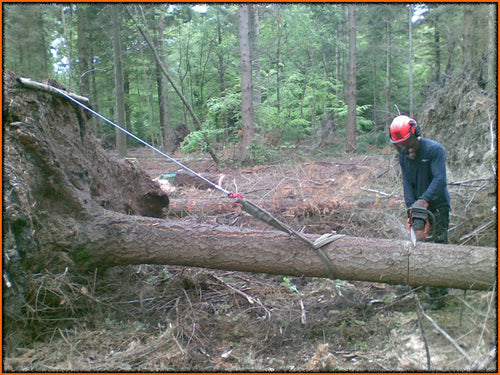 City & Guilds NPTC Level 3 Award in Severing Uprooted or Windblown Trees Using a Chainsaw (CS34)