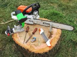 Level 2 Award in Maintenance Cross, Felling & Processing Trees upto 38 ...