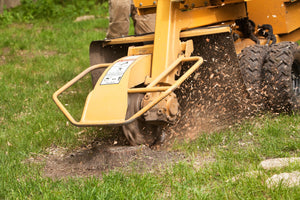 NPTC Level 2 Certificate of Competence in Safe Use of Stump Grinder